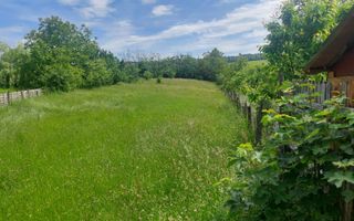 TEREN INTRAVILAN 2972 MP, BUGHEA DE SUS, PRET 23776 EURO - Poză 2