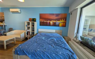 Studio Vedere Lacul Morii 43 Mp Lake House Virtuții - Poză 12