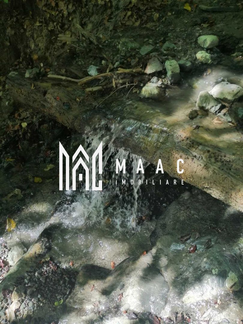 Teren Extravilan 20.000Mp I Stoenești -Vâlcea I Apă Curentă și Pădure - Poză 5