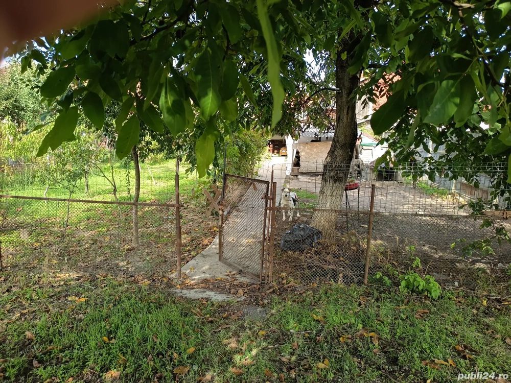 BRASADAS vinde casă 4 cam zona UNIO pentru două familii. - Poză 5