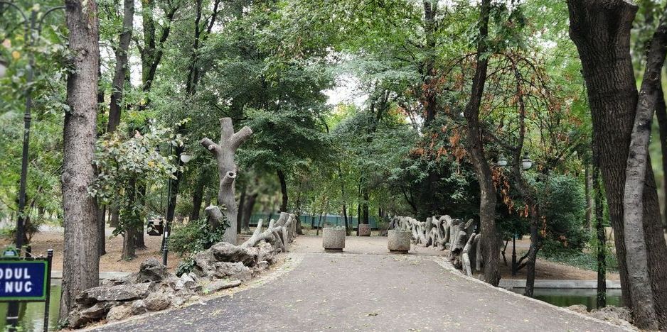 Apartament cochet 2 camere  Cișmigiu/Sala Palatului - Poză 7