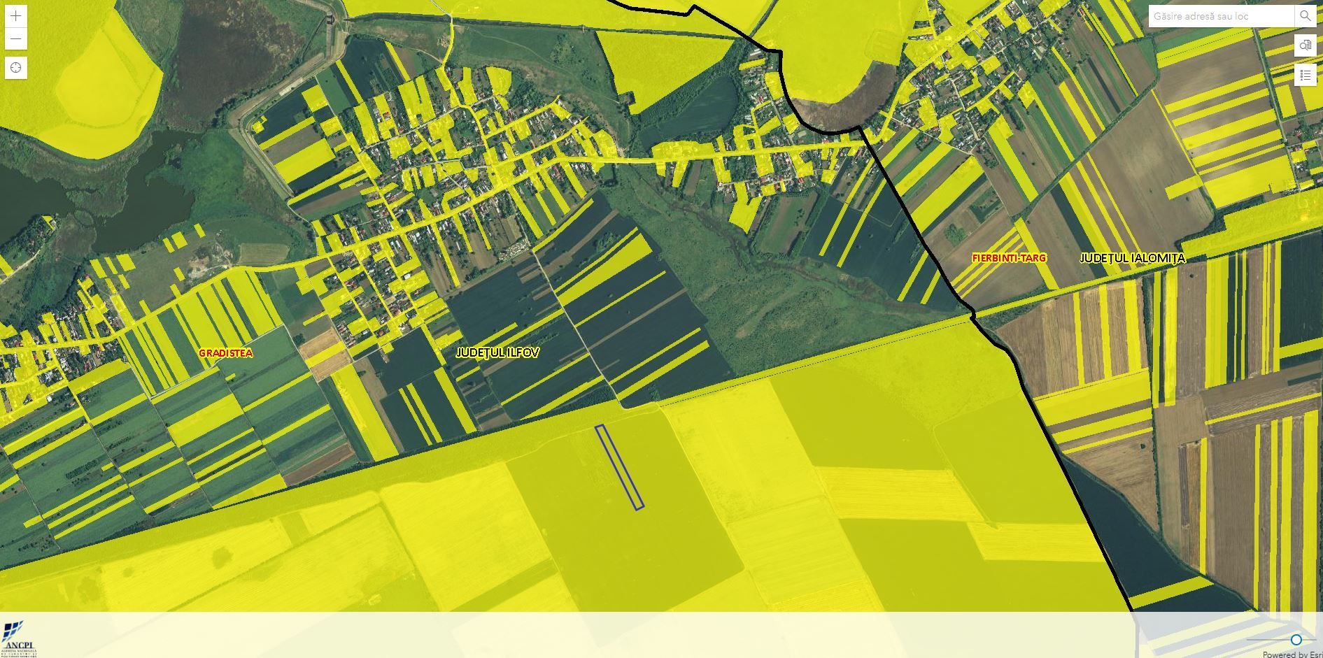 GRADISTEA - Sat Sitaru - Tarla 43, 11.500 mp. teren ideal investitie - Poză 2
