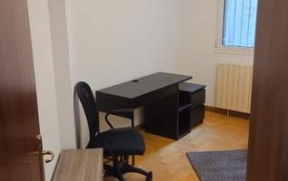 Ap 3 camere Primaverii vedere Herastrau - Poză 14