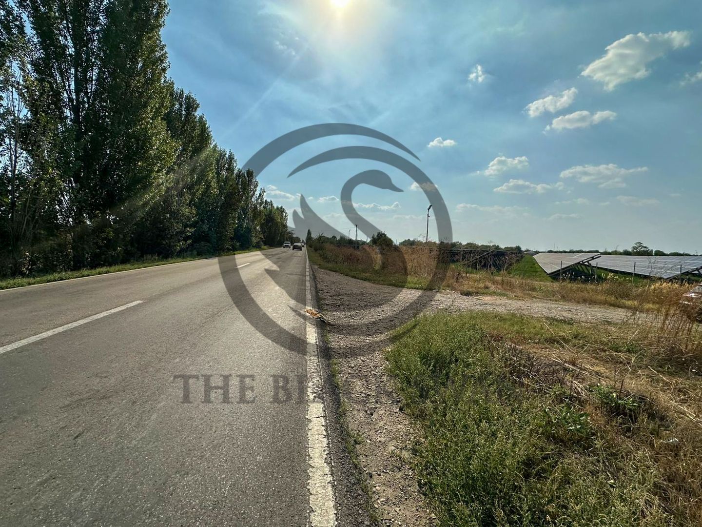 Teren extravilan de vanzare | 9882mp | Berceni - Prahova | Comision 0% - Poză 3