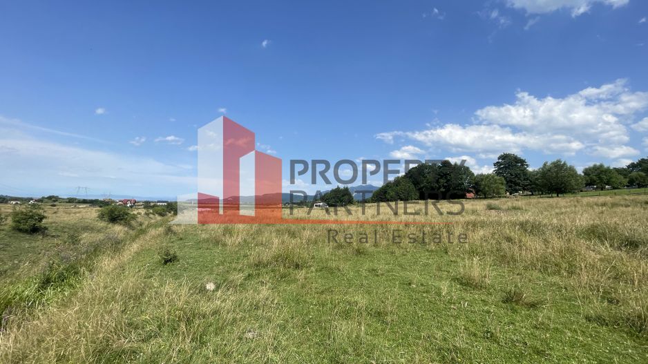 Teren de vanzare in  Tohanu Nou-Sohodol 6200 mp - Poză 7