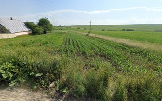 Teren intravilan 1.822 mp | Sfântul Ilie – UAT Șcheia | 145.000 € - Poză 2