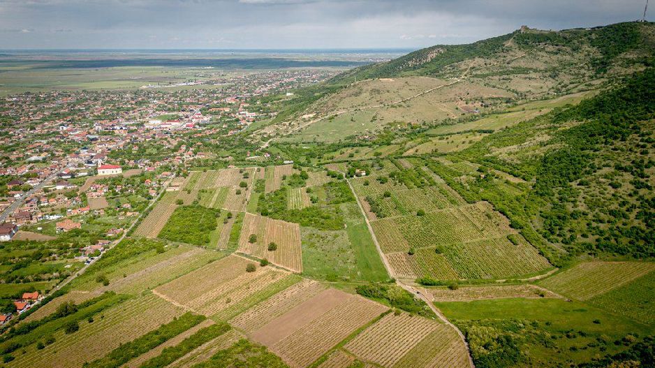 Teren extravilan - 3654 mp Dealul Șiriei - Poză 7