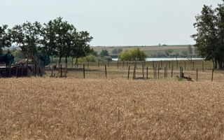 Teren intravilan Miersig, vedere la lac. 12,5 E/mp neg. Comision 0 - Poză 5
