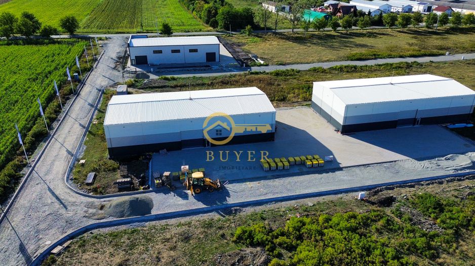 Teren intravilan cu PUZ aprobat pt hale industriale- Zona Sura Mica - Poză 3