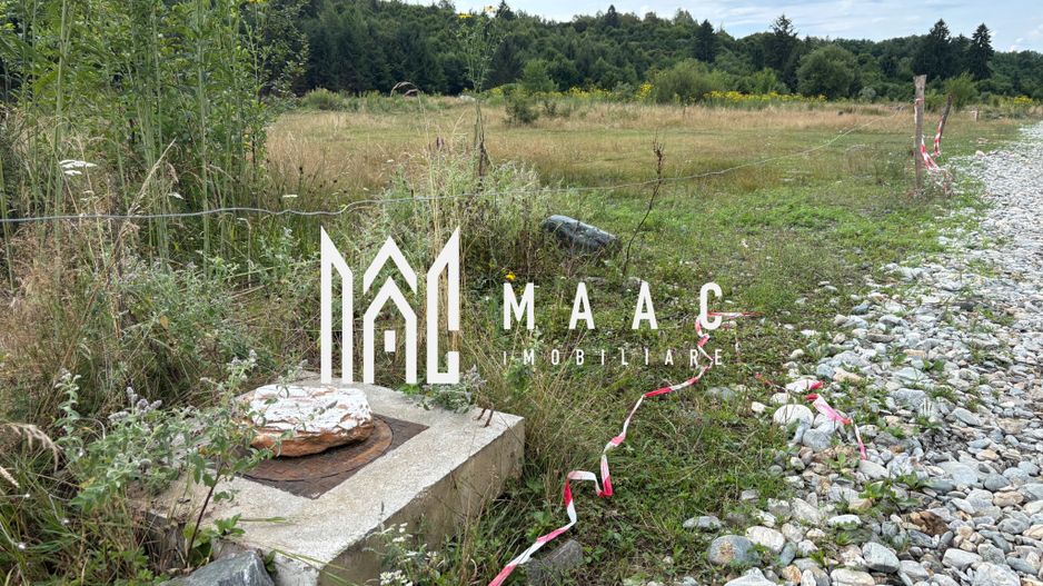 Teren intravilan de vanzare I 1990 mp I Valea Avrigului – lângă Cabana Aris - Poză 8