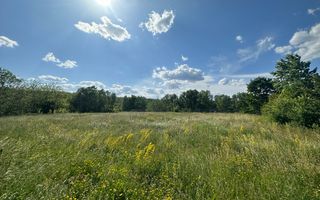 Teren Vanzare 11.000 MP Ghirdoveni | COMISION 0% - Poză 12