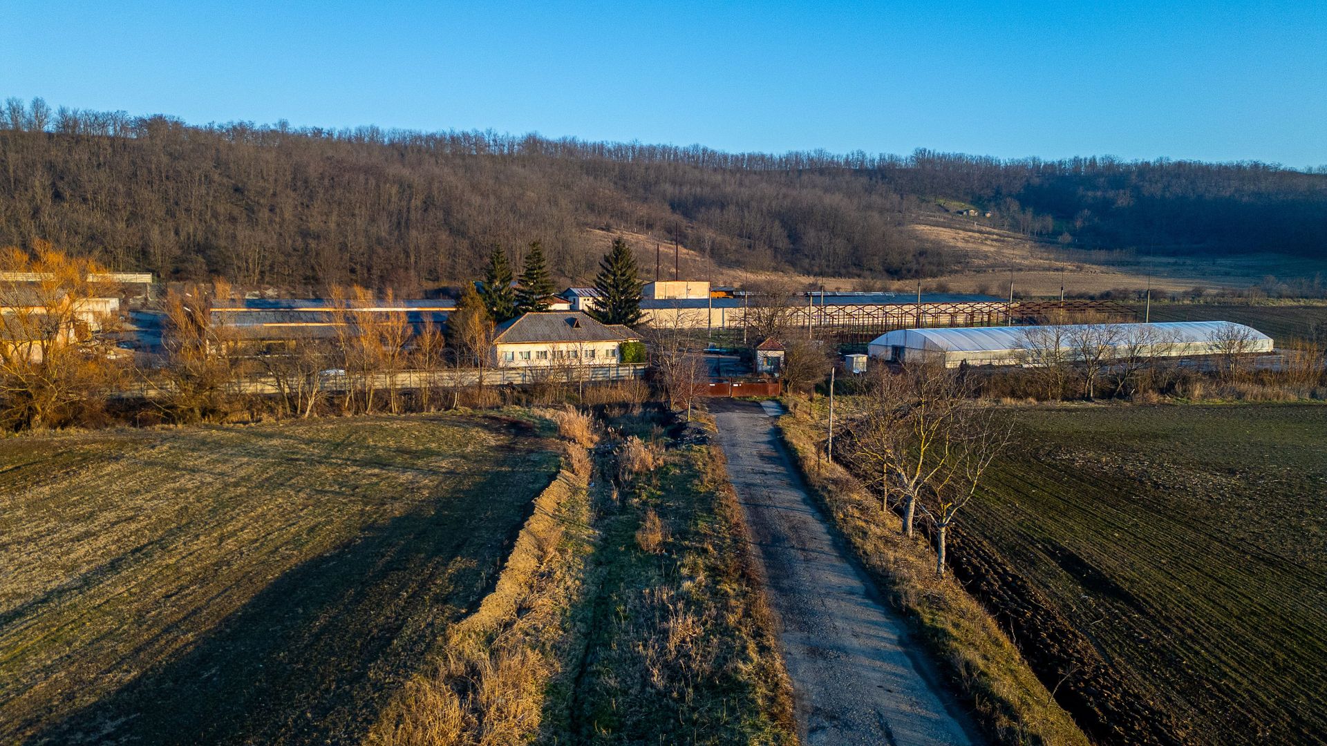 Fosta Ferma a Partidului de la Horgesti - de vanzare - Poză 13