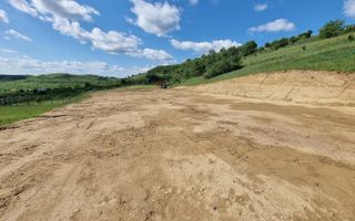 Teren Extravilan de Vânzare – 2.500 mp | Hamba | Zonă în Dezvoltare - Poză 9