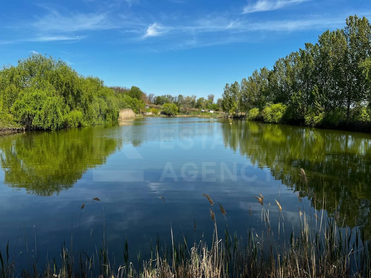 Vânzare, teren agricol, 90 ha, Orhei, satul Seliște - Poză 8