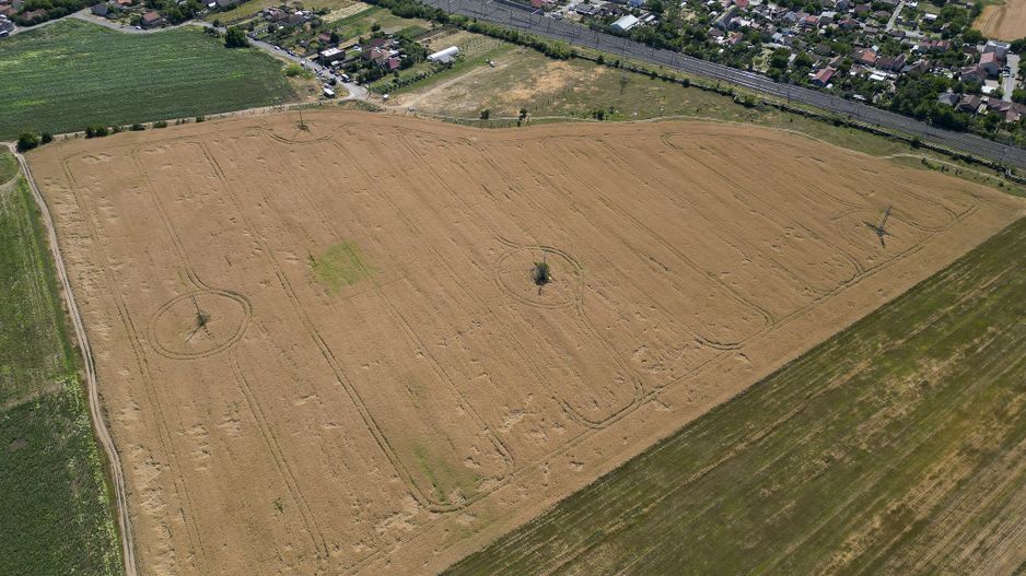 Tern intrevilan 4003 mp - Poză 13