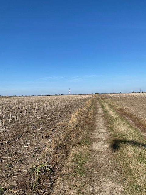 Teren agricol în Zona Sagului - Poză 3