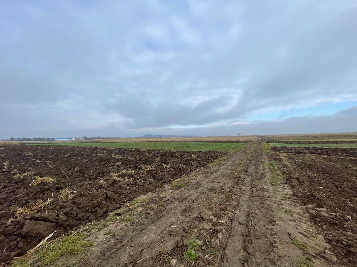 TEREN EXTRAVILAN 13 ARI | FRONT STRADAL 13 M | MARGINEA - Poză 11