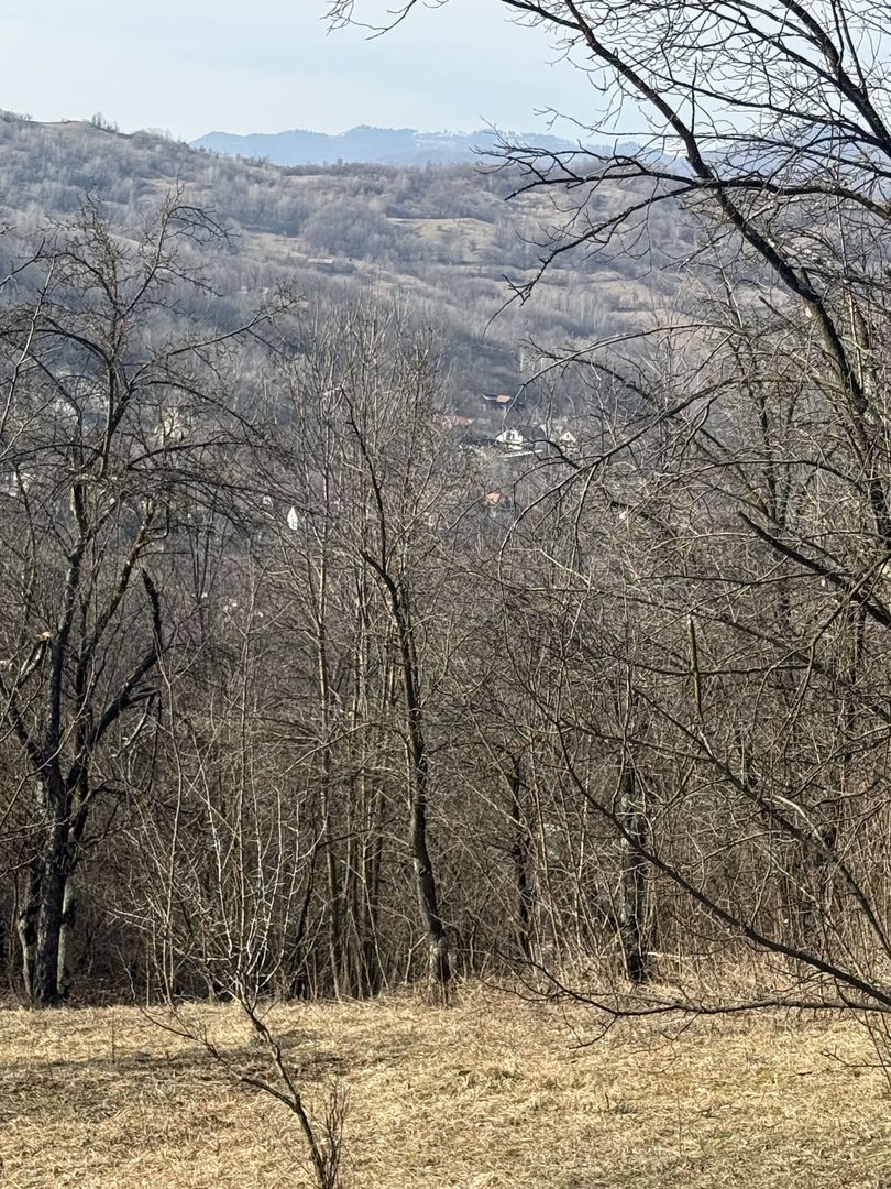 Teren intravilan 2788 mp deschidere 55 ml cu vedere panoramica ! - Poză 20