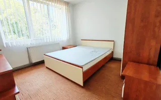 2 camere, spatios, mobilat modern, balcon, Gheorgheni - Poză 14