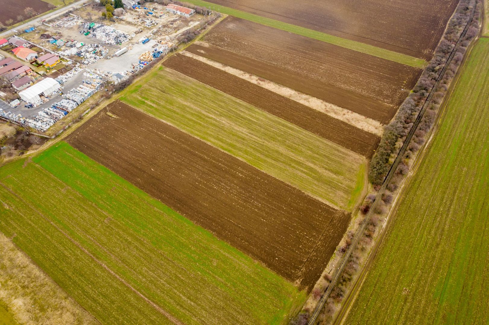 Teren 5000 mp ZĂDĂRENI - Poză 4