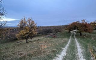 Teren 7199mp Intravilan cu Vedere Panoramica Superbă, Ideal Investitie - Poză 21