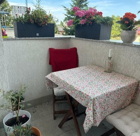 Apartament 2 camere si loc parcare  - Parcul Carol - Poză 10