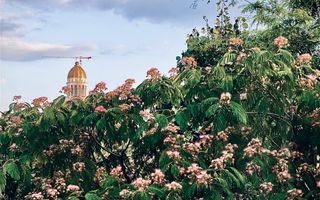 Apartament 3 camere + 1 birou,  Cotroceni, curte si gradina, metrou Eroilor - Poză 25