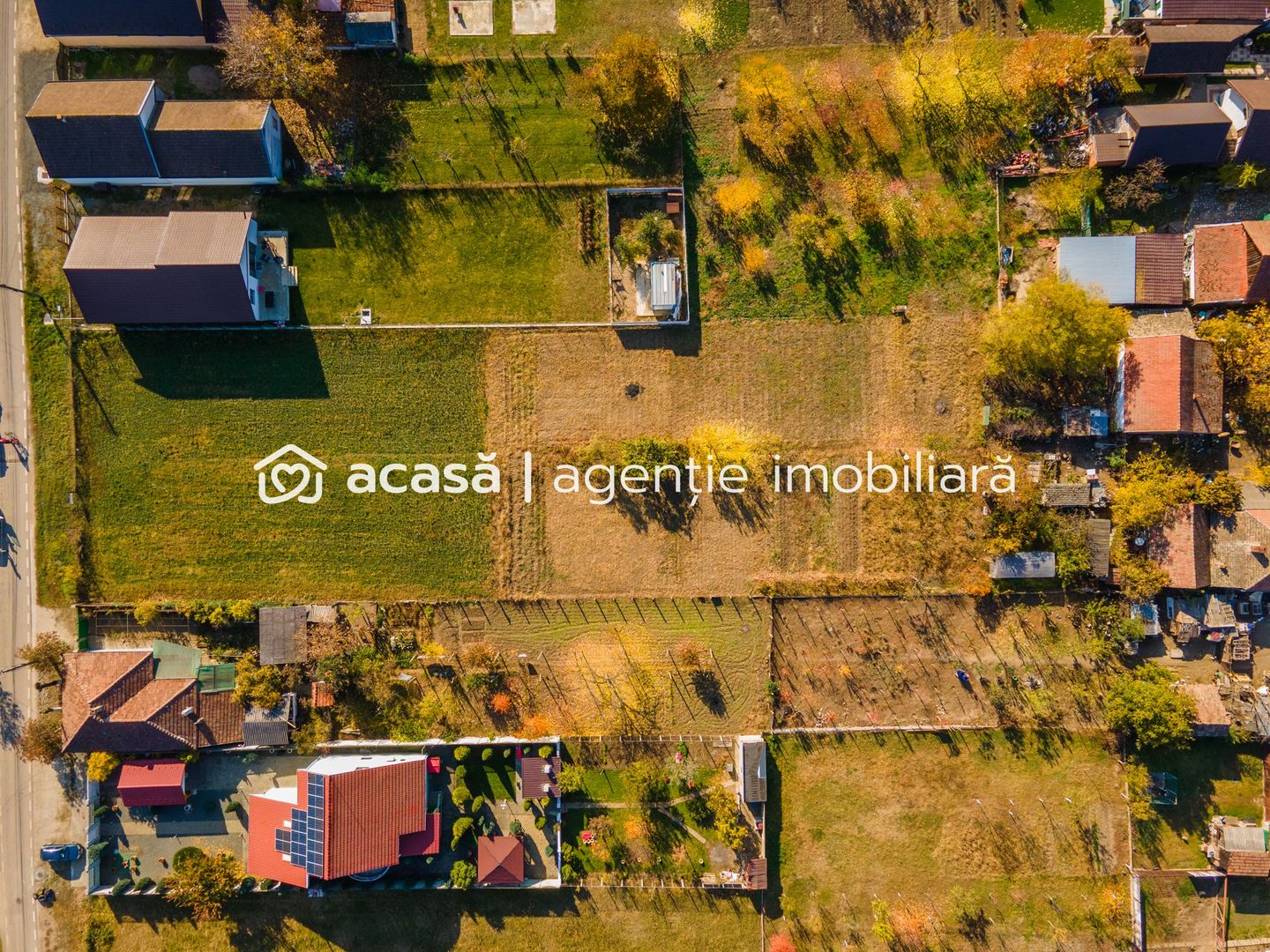 Teren de vânzare în Zimandul Nou, suprafață 2000 mp - Poză 7