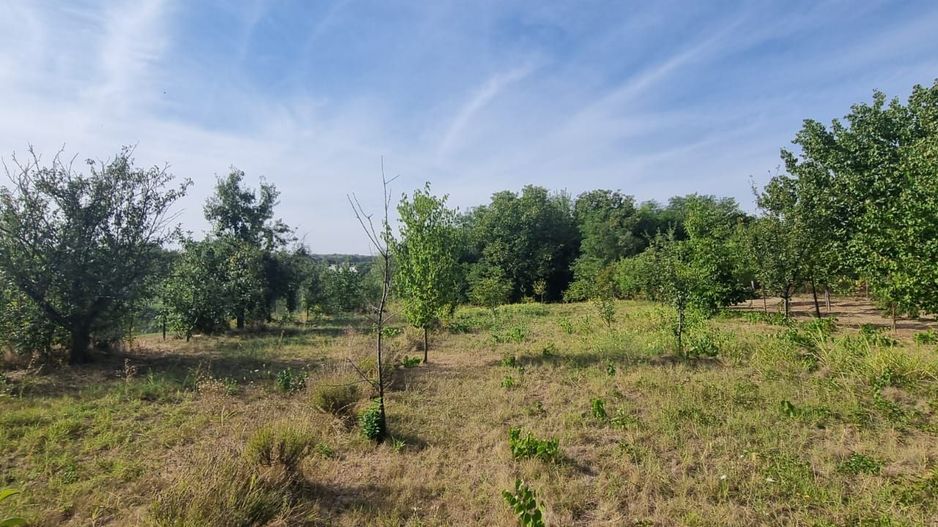 Teren 2000 mp de vânzare – Comana, deschidere la lac, aproape de Parcu - Poză 4