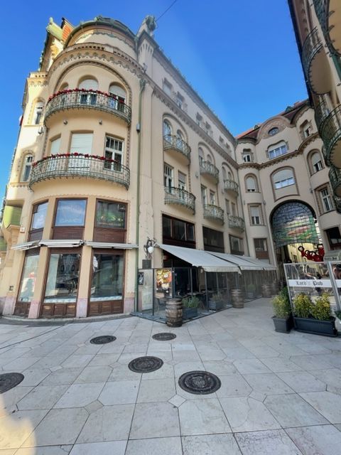 Chirie Ultra-central Oradea – spațiu HoReCa în Pasajul Vulturul Negru - Poză 3