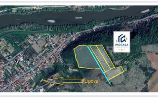 De vânzare teren extrav. 8,14h Lipova Arad Arabil 2,91ha livadă 6.10ha - Poză 2