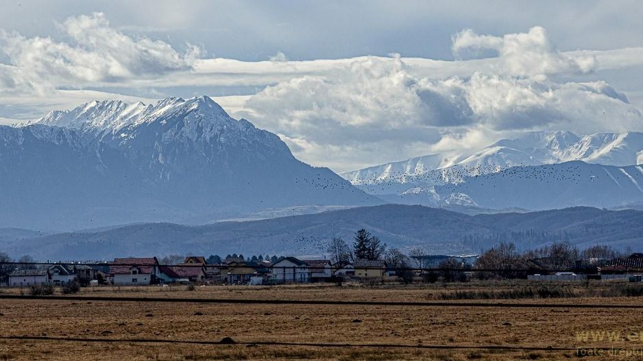 Casă nouă, intrare Stupini - Poză 2