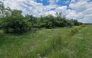 0% Comision!!! Teren intravilan Smeura - str Prunilor! - Poză 2