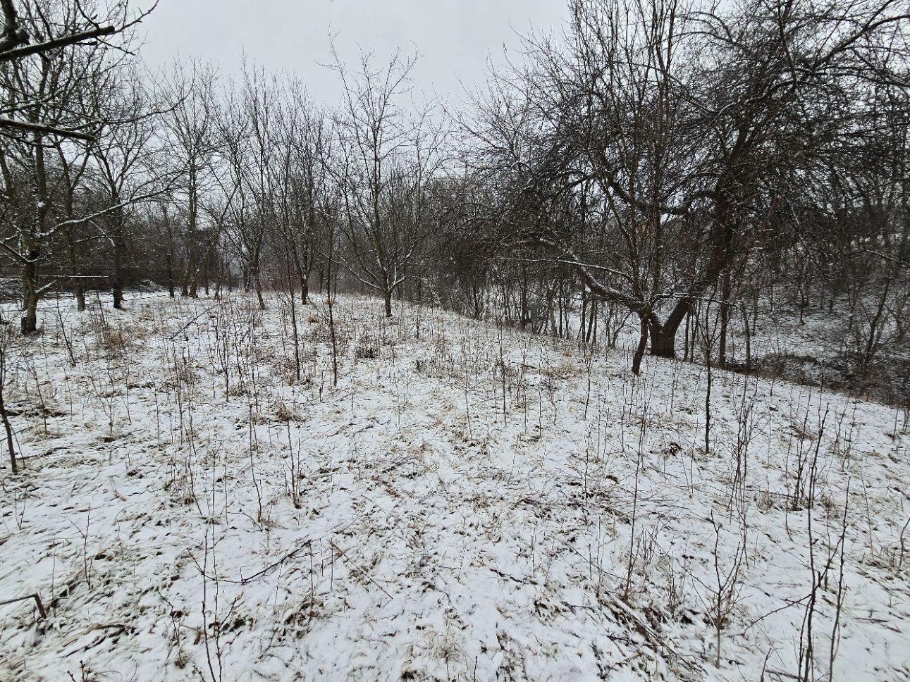 Casă și teren de vânzare în Colibași Dâmbovița Liniște Spațiu Natura - Poză 9