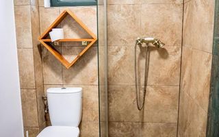 Pensiune agroturistică: 3 case tradiționale + teren în Desești - Poză 14