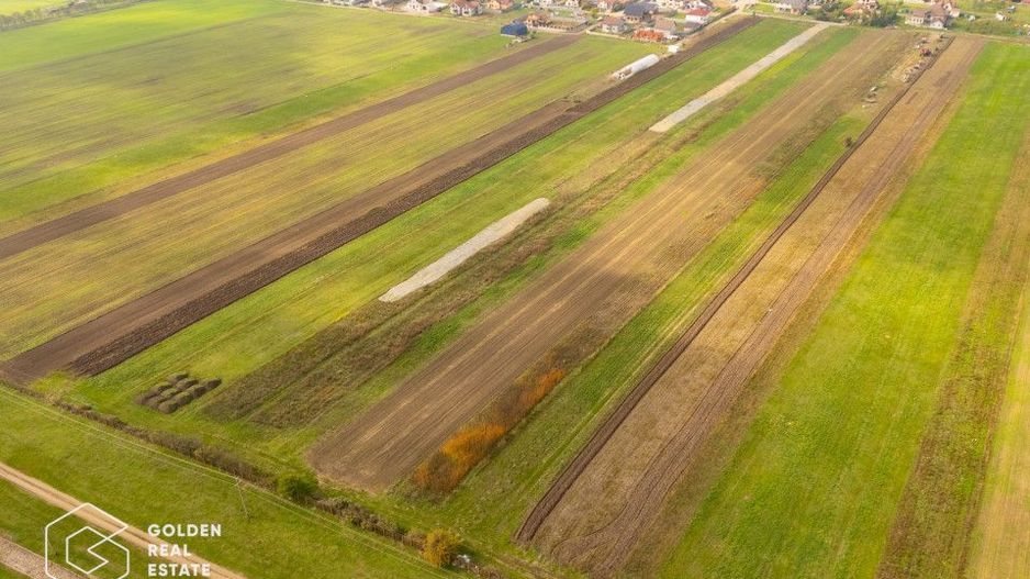 Parcele de 550 mp in Livada, cu toate utilitatile la strada - Poză 6