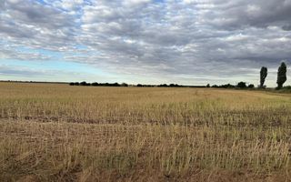 Teren intravilan Branesti - Poză 2