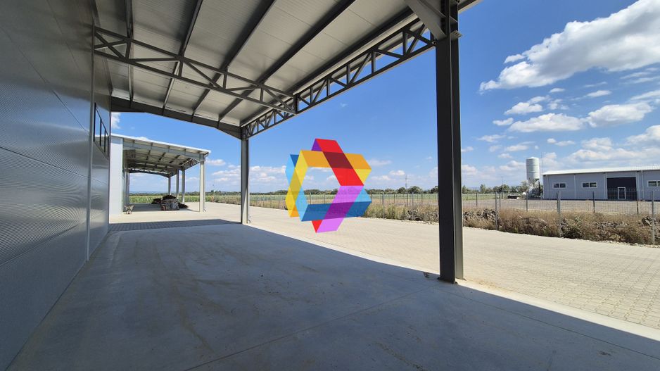 Hala - 1400 mp  # plus-imo.ro - Poză 14