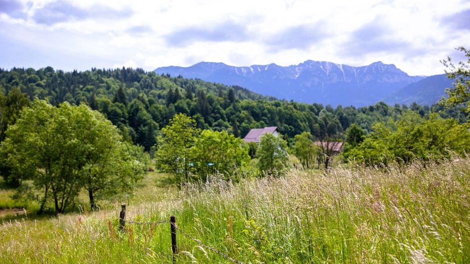 Teren intravilan plat in Bran, 1000 mp, vedere către Bucegi, utilitati - Poză 7