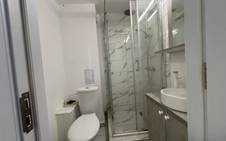 Vânzare Garsonieră/ Închiriere - Bd. Dinicu Golescu - complet renovată - Poză 5