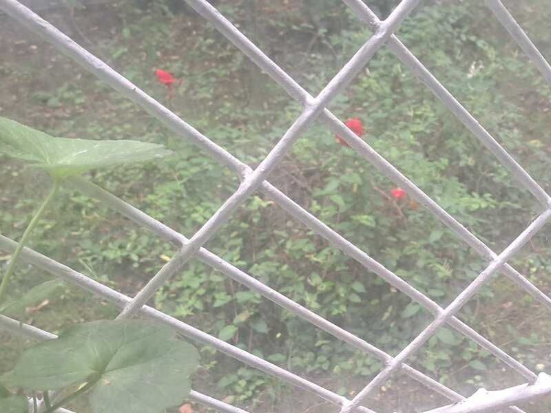 De vanzare Apartament 2 camere Brancoveanu, sector 4 - Poză 5