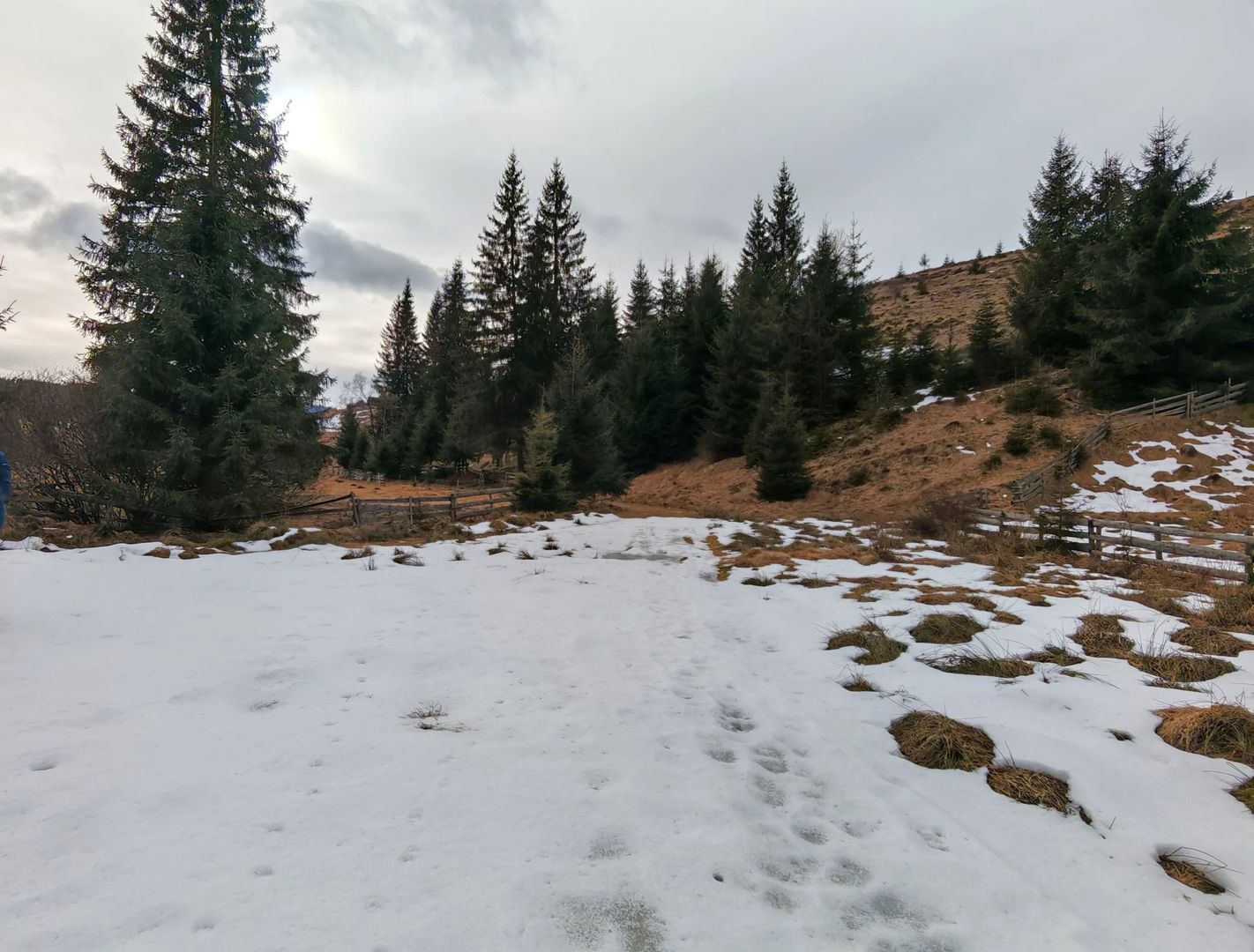 7.858 mp Teren Rar cu Pârâu și Izvoare, Beliș-Fântânele, Cluj - Poză 2