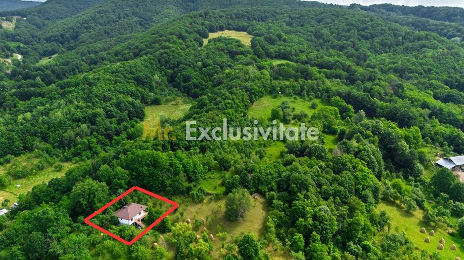 Casa moderna si casa bunicii + 6300 mp teren,Oaza autentica in Corbi Arges- - Poză 23