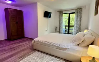 Pensiune Turistică | 360MPU | Curte | Oportunitate Investiție | Porumbacu de Sus - Poză 13