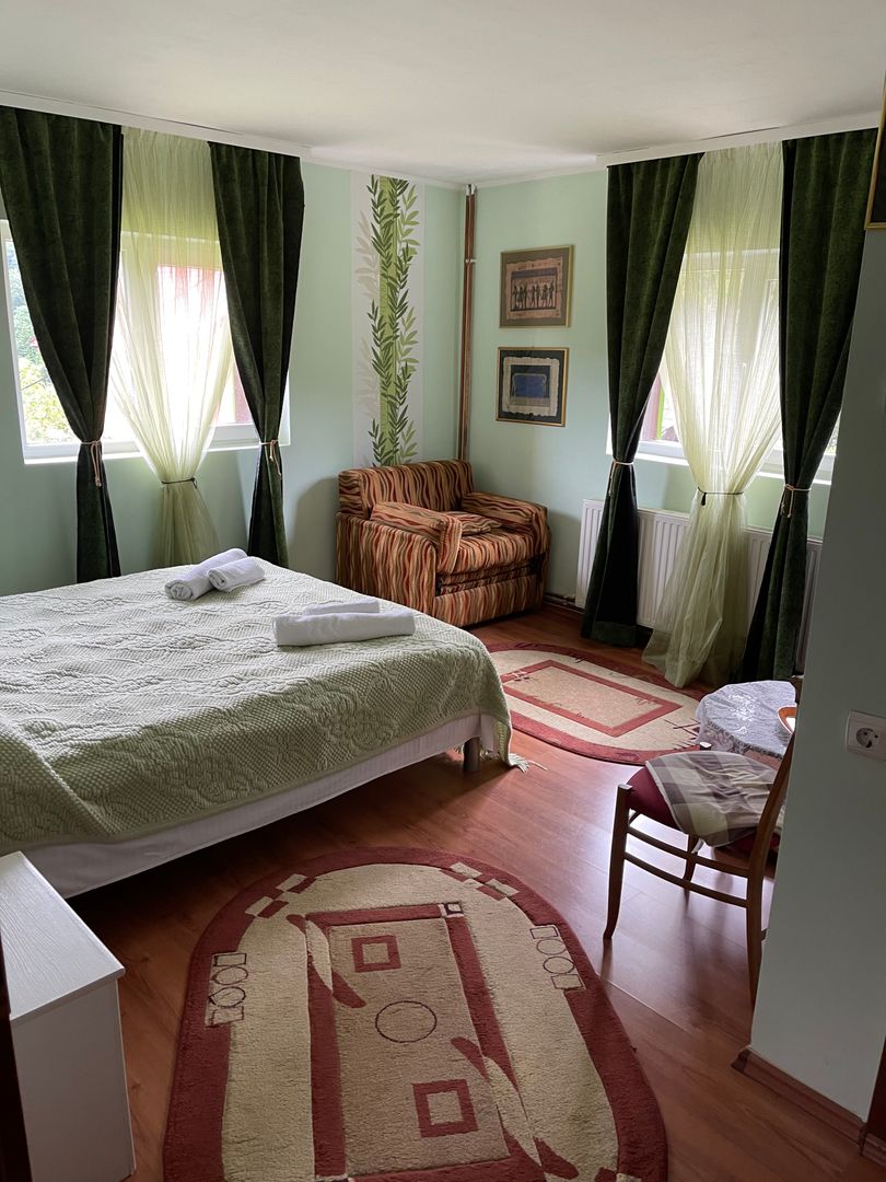 Proprietate in incantarea naturii, oportunitate investitie/rezidential, Predeal - Poză 38