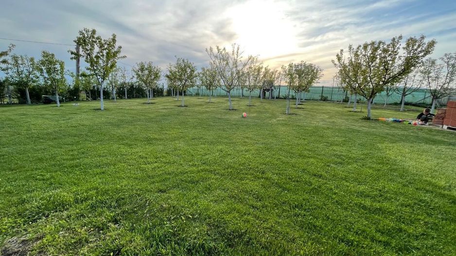 Cabana de lemn, 2 camere, teren 850 mp, livada, Oarda, Alba Iulia - Poză 6