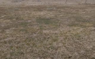 Teren intravilan Tutora Iași - Poză 1