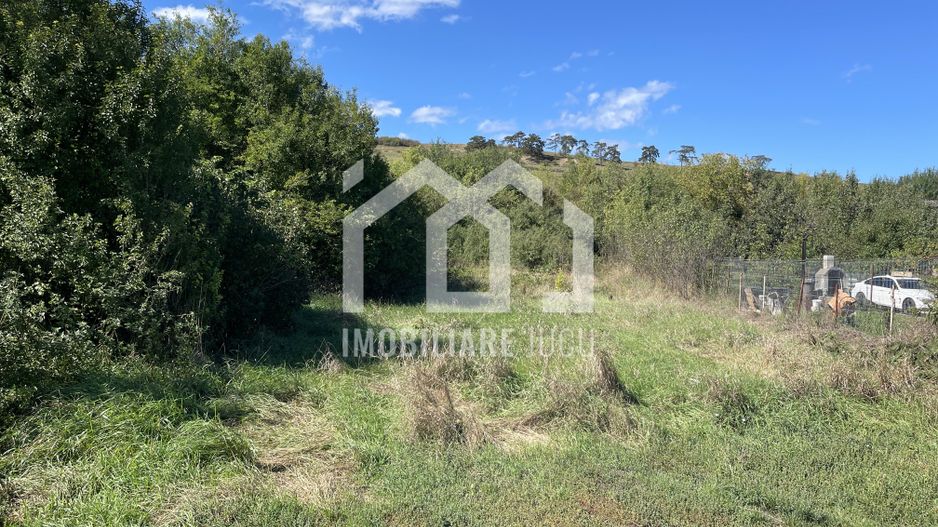 Teren Intravilan 1115mp - Juc-Herghelie - Poză 4