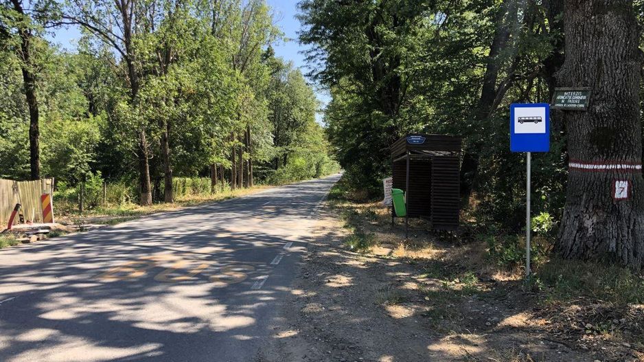 Moara Vlasiei - langa Padurea Biglaru, 11.884 mp, deschidere 40 ml - Poză 7