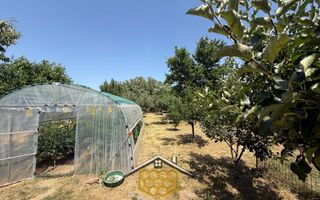 Casa individuala P+ Pod +Beci in sat Robanesti, 10 minute de Craiova - Poză 19